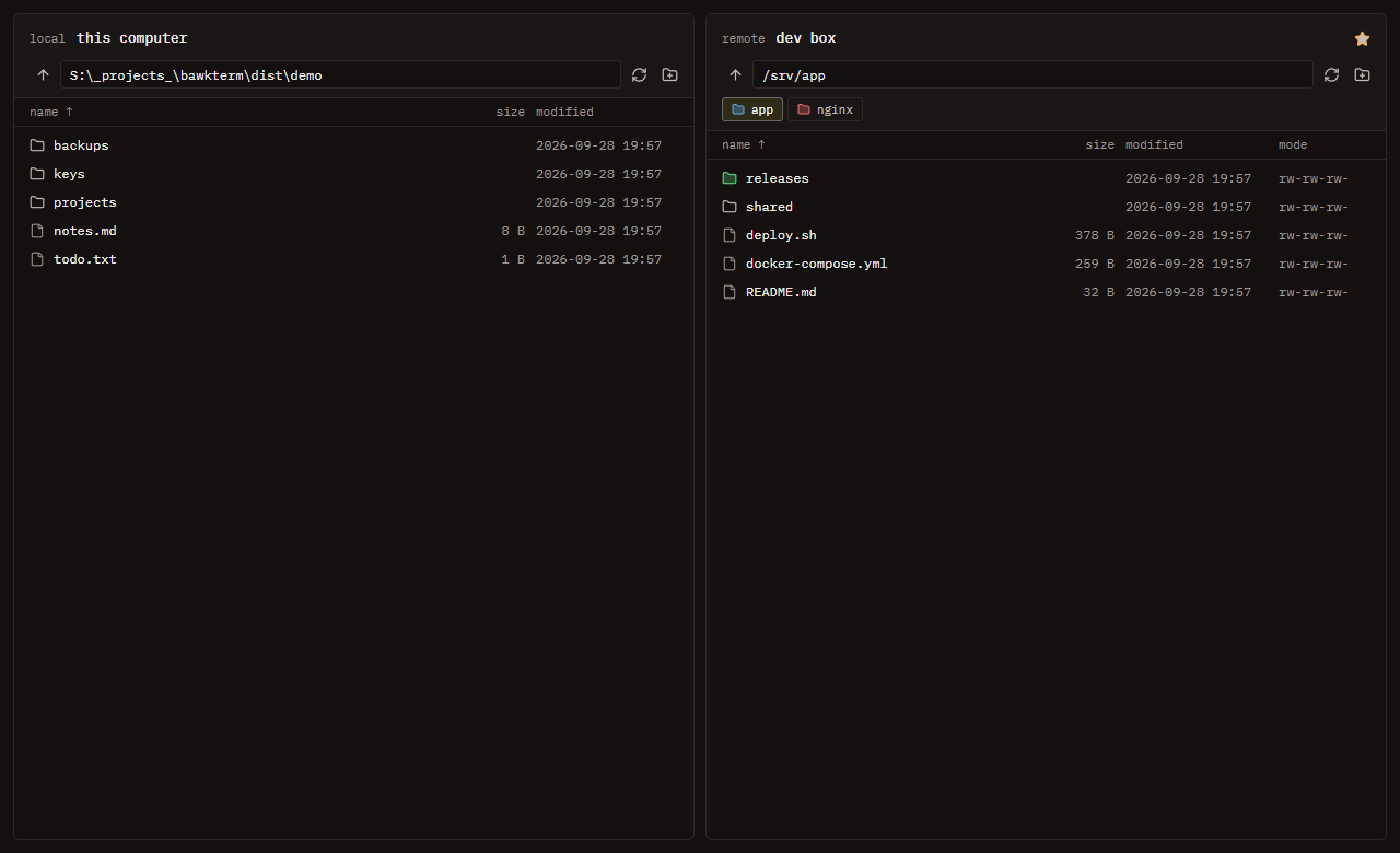 Two file panes: this computer on the left, /srv/app on the dev box on the right, with app and nginx as favorite folders.